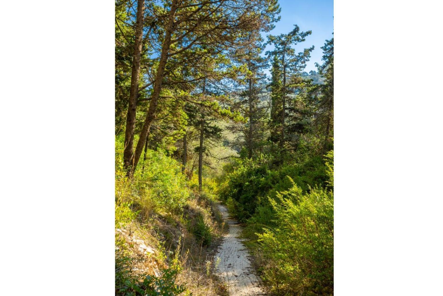 Villa Ifigeneia Gaios Dış mekan fotoğraf